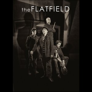 Image for 'The Flatfield'