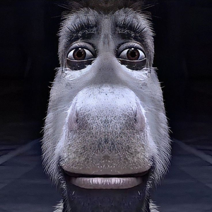 KloQO