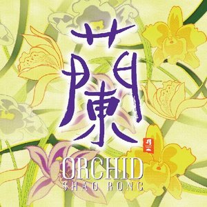 “Orchid”的封面