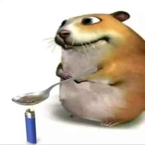 mxst1cc