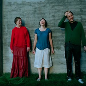 Image for 'The Social Services'