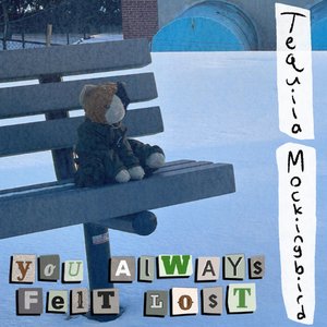 Immagine per 'You Always Felt Lost'
