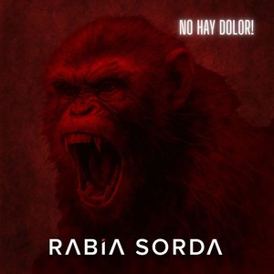 Image for 'No Hay Dolor!'
