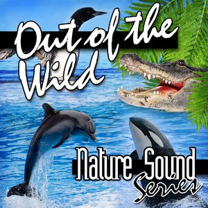 Image for 'Out of the Wild (Nature Sounds)'