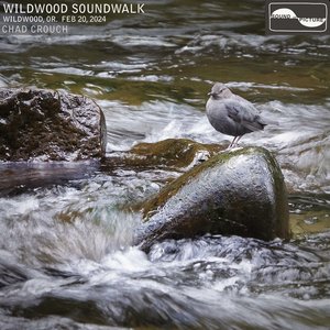 Image for 'Wildwood Soundwalk'