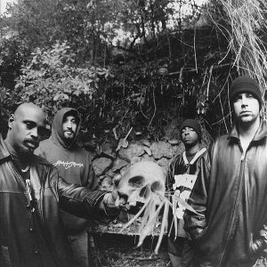 “Cypress Hill”的封面
