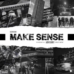 Image for 'Make Sense'