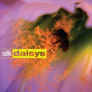 Image for 'Silk Daisys'