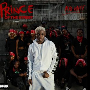 Image for 'Prince of the Street'