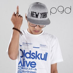 “P9d”的封面