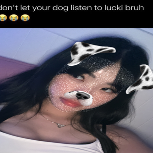 feivvi