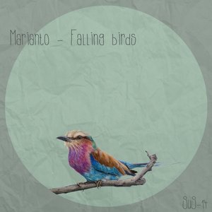 Image pour 'Falling Birds'