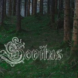 Image for 'sovitus'