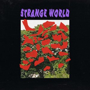 Image for 'Strange World'