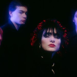 Изображение для 'Siouxsie and the Banshees'