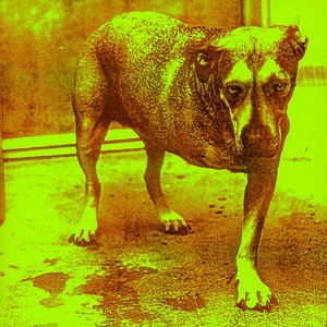 'Alice in Chains'の画像