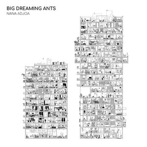 Image for 'Big Dreaming Ants'