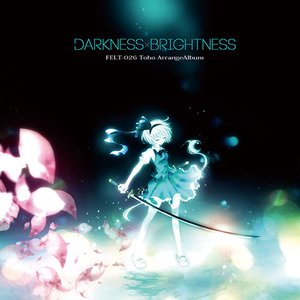 Bild für 'Darkness Brightness'
