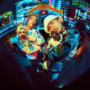 “狗咬狗”的封面