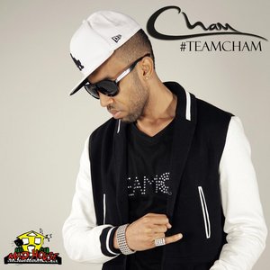 Imagem de 'Team Cham'