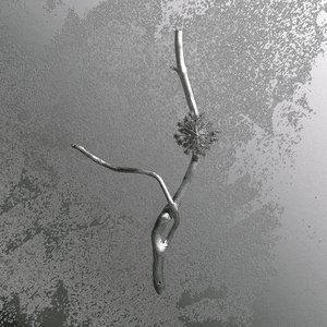 “La Maccaia”的封面