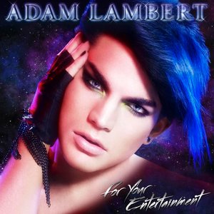 Image for 'For Your Entertainment'