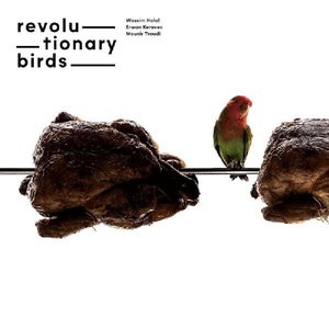 Image for 'Revolutionary Birds'