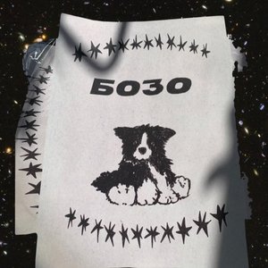 “бозо”的封面