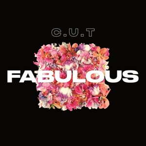 “Fabulous”的封面