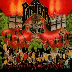Image for 'Projects in the Jungle'