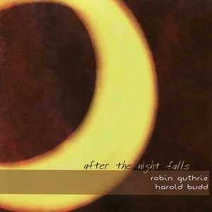 Image for 'After the Night Falls'