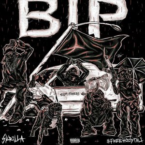 “BIP”的封面