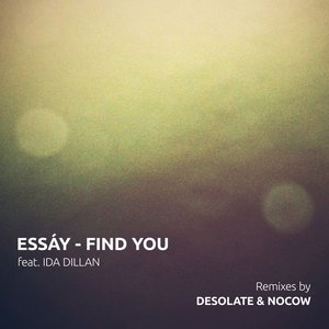 Image for 'Find You'