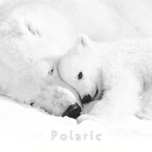 Image for 'Polaric'