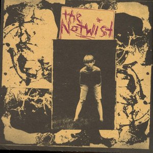 “The Notwist”的封面