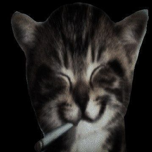 miserable_kiwy