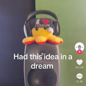 “the ting goes quack”的封面