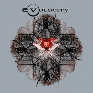 Image for 'Evolocity'