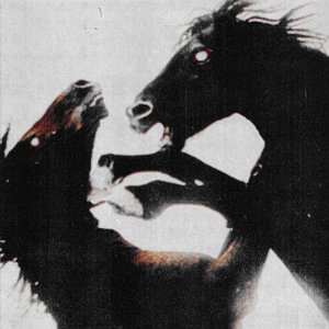 Image for 'Give Me A Show'