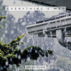 Image for 'Everything's Wet'