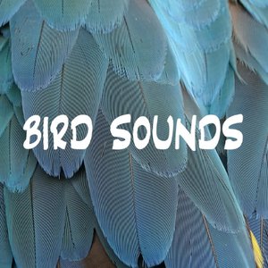 Image for 'Bird Sounds'
