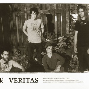 Изображение для 'Veritas'