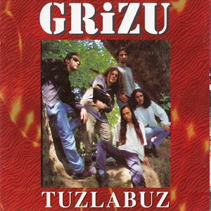 Image for 'Tuzla Buz'