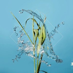 “Stream”的封面