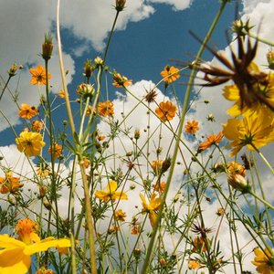 Image for 'You Are Spring!'