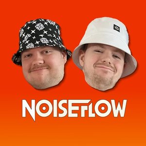 Изображение для 'NoiseFlow'