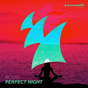 Image for 'Perfect Night'