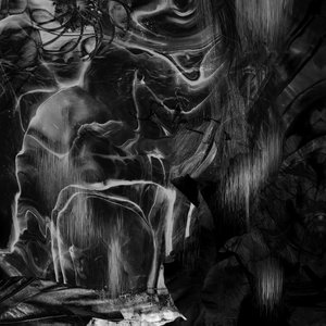 Image for 'Muuntautuja'