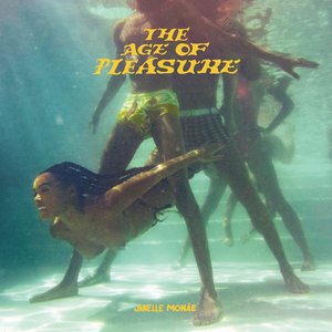 “The Age of Pleasure”的封面