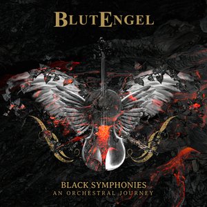 Image for 'Black Symphonies: An Orchestral Journey'
